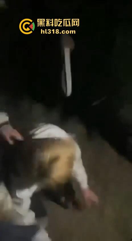 甘肃省定西市岷县多人群殴霸凌视频曝光， 逼其口含避孕套吹泡泡，还像狗一样爬，边爬边殴打！  第3张