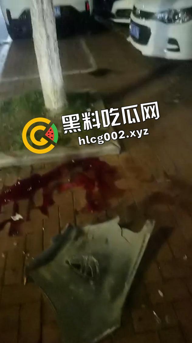 安徽工业大学大瓜！情侣骑单车被毒驾司机失控撞死 现场视频流出  第2张