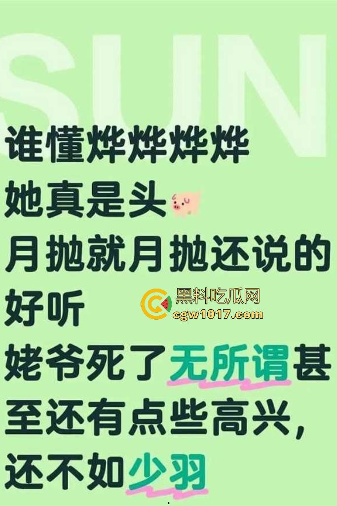 抖音【烨烨烨烨】外公去世还要去柏林游玩，亲人尸骨未寒就蓝天自拍，还蹭哀悼流量，如果外公还在世该多心寒啊！  第5张