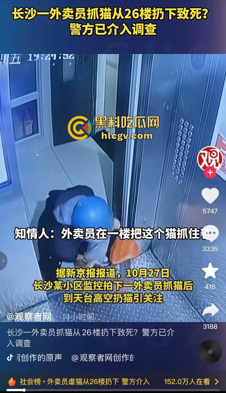 长沙外卖员丧心病狂虐猫！抓猫从26楼扔下当场摔死！  第1张