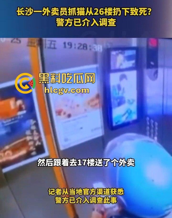 长沙外卖员丧心病狂虐猫！抓猫从26楼扔下当场摔死！  第2张