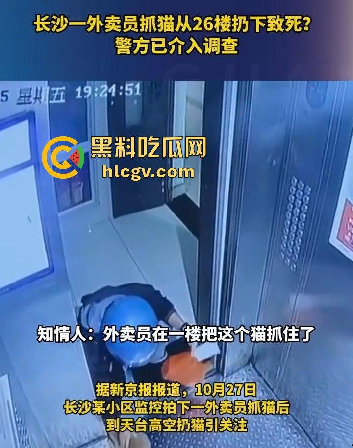 长沙外卖员丧心病狂虐猫！抓猫从26楼扔下当场摔死！  第3张