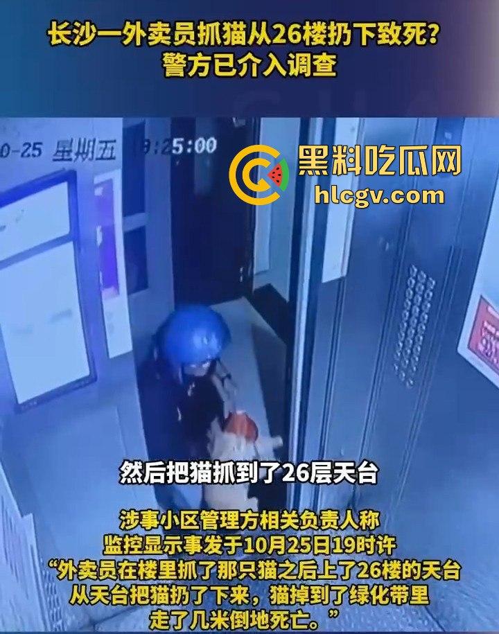 长沙外卖员丧心病狂虐猫！抓猫从26楼扔下当场摔死！  第4张