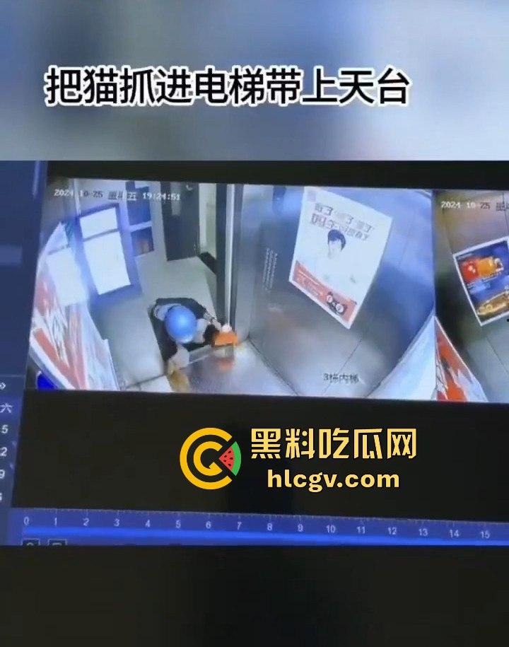长沙外卖员丧心病狂虐猫！抓猫从26楼扔下当场摔死！  第5张