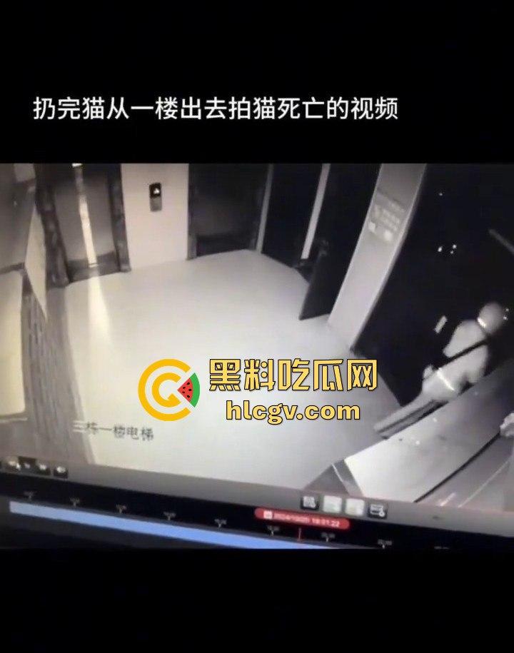 长沙外卖员丧心病狂虐猫！抓猫从26楼扔下当场摔死！  第6张