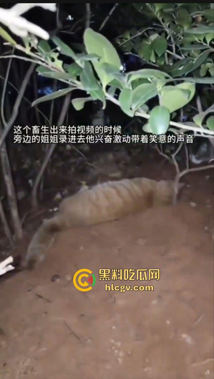 长沙外卖员丧心病狂虐猫！抓猫从26楼扔下当场摔死！  第7张