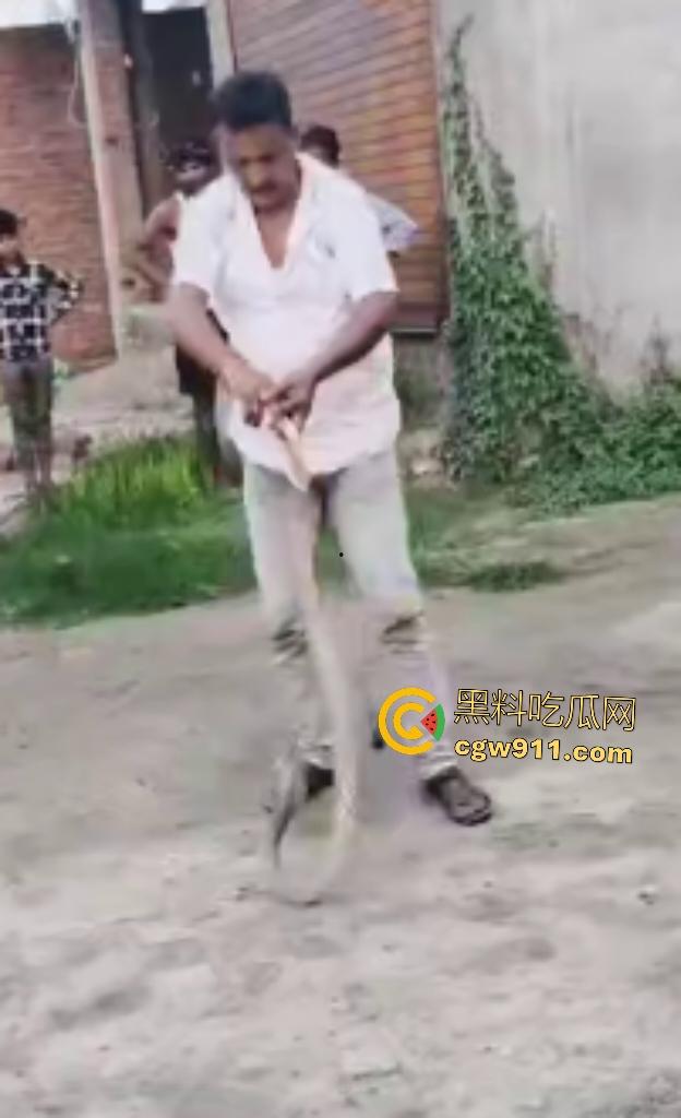 印度蛇王装逼被反杀，毒眼镜蛇一口咬死抓蛇神人，没想到血清忘带了，直接当场丧命，下辈子别再装逼了！  第4张