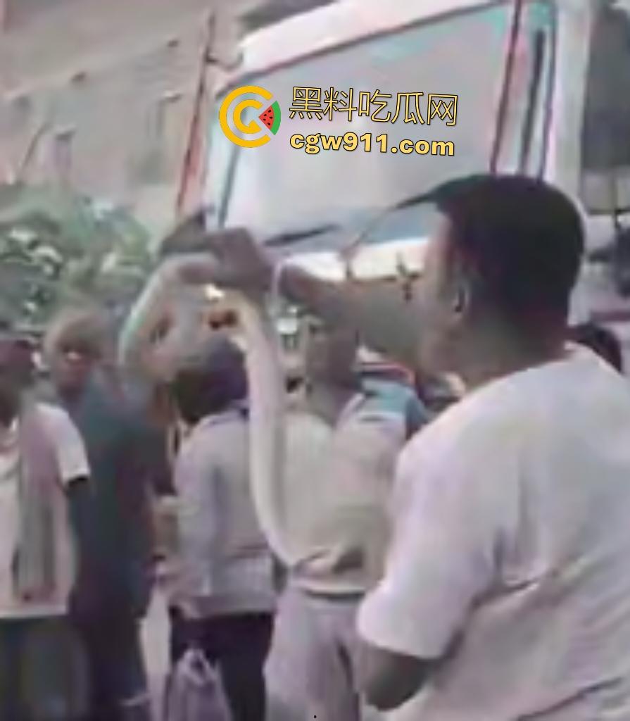 印度蛇王装逼被反杀，毒眼镜蛇一口咬死抓蛇神人，没想到血清忘带了，直接当场丧命，下辈子别再装逼了！  第6张