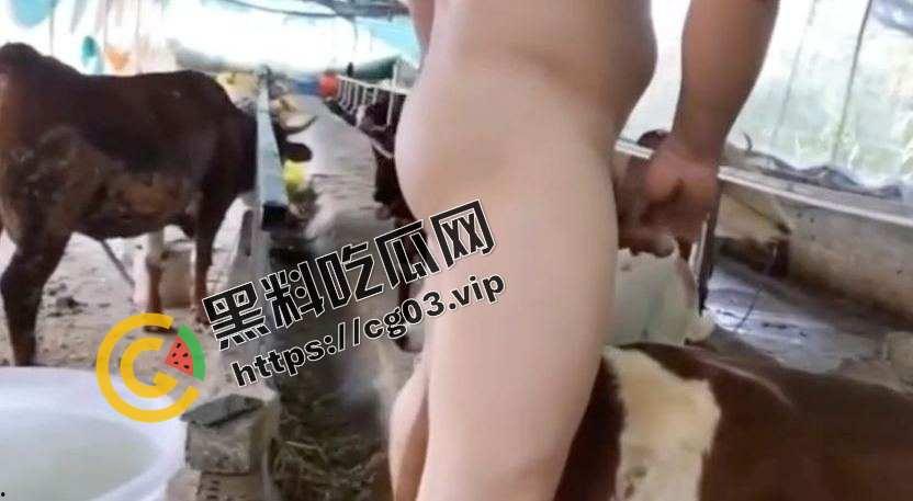 变态!一群男人强奸猪和牛 究竟是人性的扭曲还是道德的沦丧 而且越干越有劲 死活不射 第3张 变态!一群男人强奸猪和牛 究竟是人性的扭曲还是道德的沦丧 而且越干越有劲 死活不射 第3张