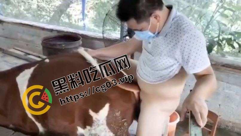 变态!一群男人强奸猪和牛 究竟是人性的扭曲还是道德的沦丧 而且越干越有劲 死活不射 第4张 变态!一群男人强奸猪和牛 究竟是人性的扭曲还是道德的沦丧 而且越干越有劲 死活不射 第4张