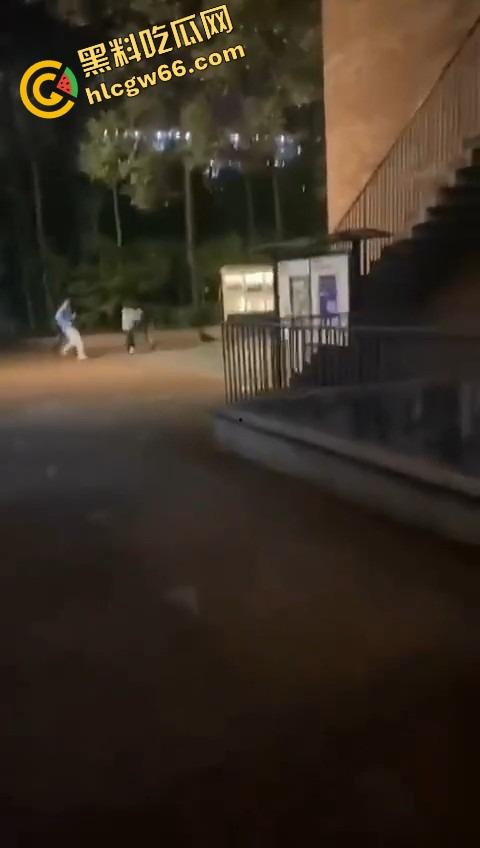 四川国际职业学院三舔狗为一个海后当街互殴，情敌互锤全员备胎，女主笑而不语继续约第4个！  第8张