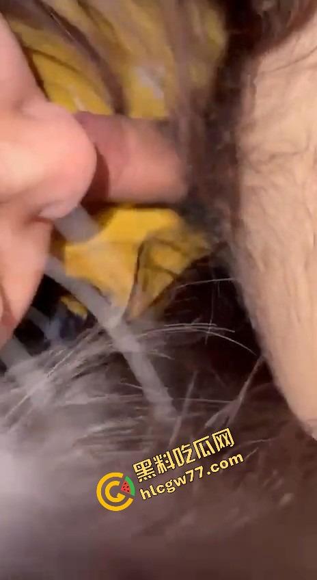 河南郑州斗鱼小主播【莉莉】兼职外围小母狗，家里情趣装备堆成仓库，前戏调情一条龙，洗澡伺候完直接开操！  第7张