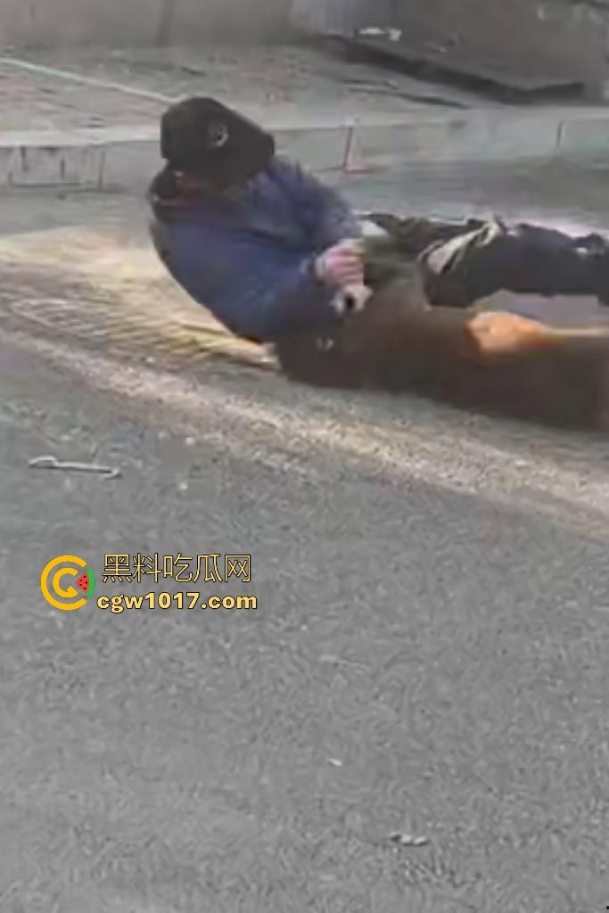 大爷手贱开狗笼被比特犬当场反咬!女主人抱不住狗,大妈大爷拿棍子打像挠痒,比特犬得配上香料才安抚大爷的心! 第3张 大爷手贱开狗笼被比特犬当场反咬!女主人抱不住狗,大妈大爷拿棍子打像挠痒,比特犬得配上香料才安抚大爷的心! 第3张