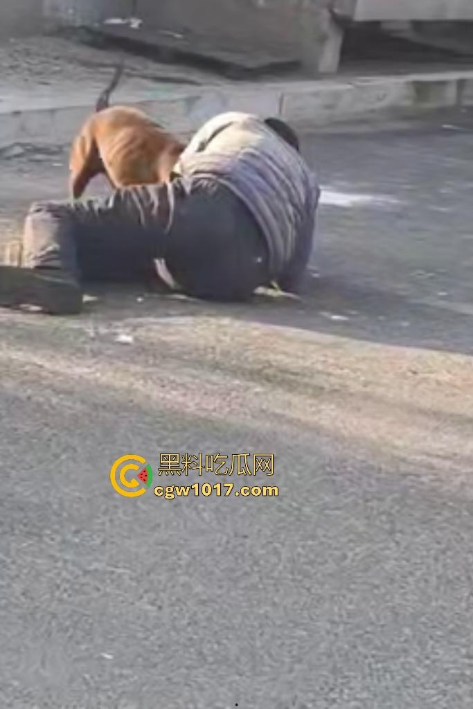 大爷手贱开狗笼被比特犬当场反咬!女主人抱不住狗,大妈大爷拿棍子打像挠痒,比特犬得配上香料才安抚大爷的心! 第4张 大爷手贱开狗笼被比特犬当场反咬!女主人抱不住狗,大妈大爷拿棍子打像挠痒,比特犬得配上香料才安抚大爷的心! 第4张