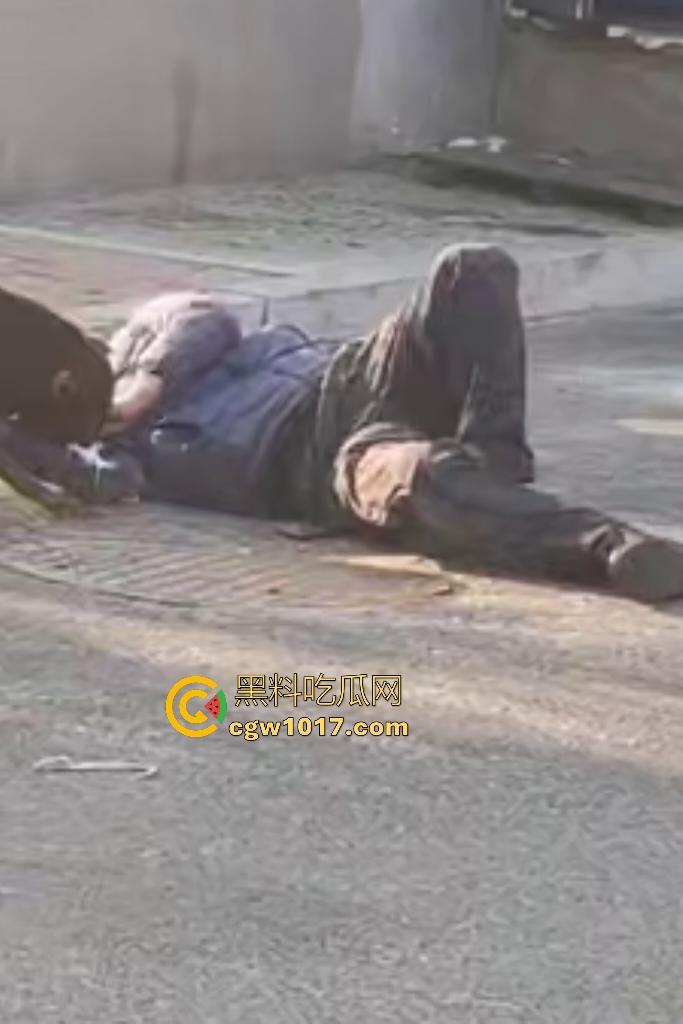 大爷手贱开狗笼被比特犬当场反咬!女主人抱不住狗,大妈大爷拿棍子打像挠痒,比特犬得配上香料才安抚大爷的心! 第5张 大爷手贱开狗笼被比特犬当场反咬!女主人抱不住狗,大妈大爷拿棍子打像挠痒,比特犬得配上香料才安抚大爷的心! 第5张