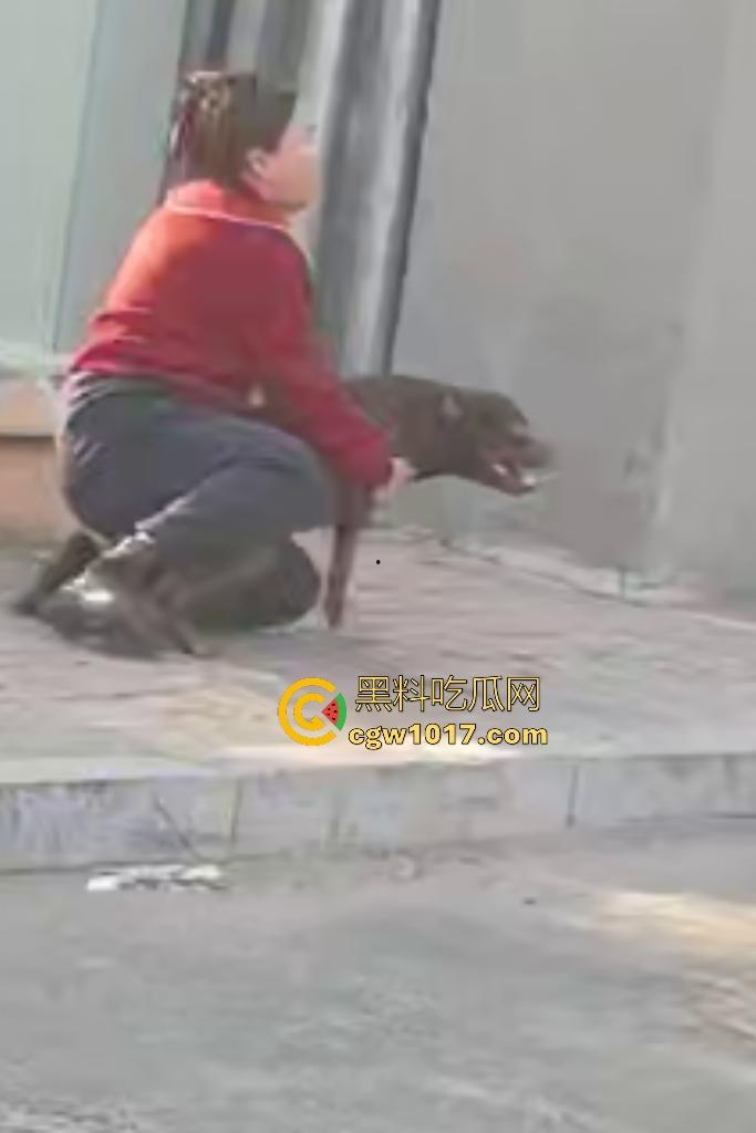 大爷手贱开狗笼被比特犬当场反咬!女主人抱不住狗,大妈大爷拿棍子打像挠痒,比特犬得配上香料才安抚大爷的心! 第6张 大爷手贱开狗笼被比特犬当场反咬!女主人抱不住狗,大妈大爷拿棍子打像挠痒,比特犬得配上香料才安抚大爷的心! 第6张