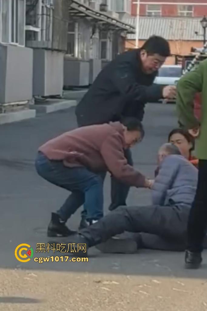 大爷手贱开狗笼被比特犬当场反咬!女主人抱不住狗,大妈大爷拿棍子打像挠痒,比特犬得配上香料才安抚大爷的心! 第9张 大爷手贱开狗笼被比特犬当场反咬!女主人抱不住狗,大妈大爷拿棍子打像挠痒,比特犬得配上香料才安抚大爷的心! 第9张