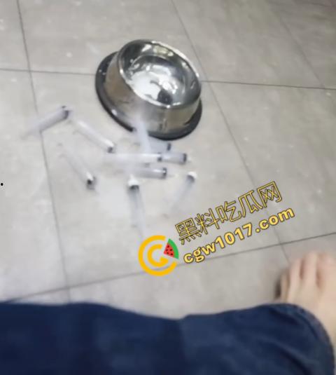 SM窒息欲望的极端游戏!极品身材清纯女学生,在黑暗中尖叫,不明液体与水的夹击,令人毛骨悚然! 第7张 SM窒息欲望的极端游戏!极品身材清纯女学生,在黑暗中尖叫,不明液体与水的夹击,令人毛骨悚然! 第7张