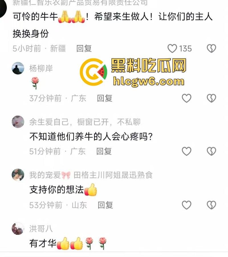 牛王陨落!贵州七十二寨斗牛王小山虎与神威大将军相撞同亡 残忍现场视频流出 第1张 牛王陨落!贵州七十二寨斗牛王小山虎与神威大将军相撞同亡 残忍现场视频流出 第1张