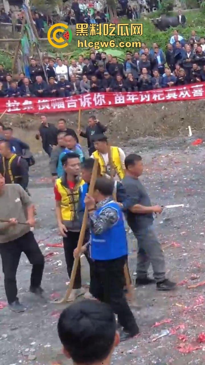 牛王陨落!贵州七十二寨斗牛王小山虎与神威大将军相撞同亡 残忍现场视频流出 第9张 牛王陨落!贵州七十二寨斗牛王小山虎与神威大将军相撞同亡 残忍现场视频流出 第9张