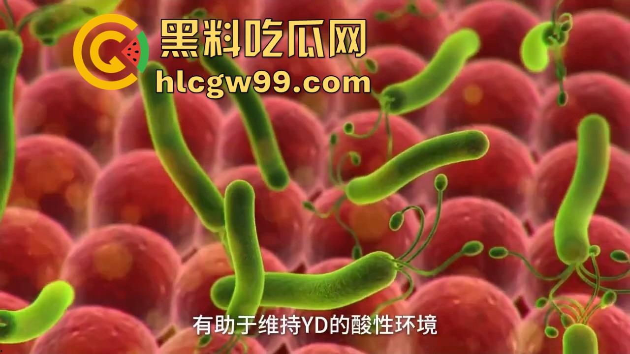 健康的阴道到底啥味儿?为啥说有股酸奶味 真的是乳酸菌的功劳吗? 第9张 健康的阴道到底啥味儿?为啥说有股酸奶味 真的是乳酸菌的功劳吗? 第9张