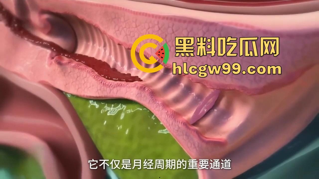 健康的阴道到底啥味儿?为啥说有股酸奶味 真的是乳酸菌的功劳吗? 第11张 健康的阴道到底啥味儿?为啥说有股酸奶味 真的是乳酸菌的功劳吗? 第11张