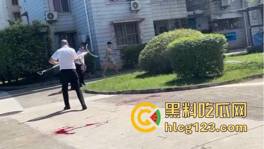 妻子惹到什么了?小区血腥杀人老公穿短裤当街持刀追砍,爱时脱她衣不爱时剐她肉! 第2张 妻子惹到什么了?小区血腥杀人老公穿短裤当街持刀追砍,爱时脱她衣不爱时剐她肉! 第2张