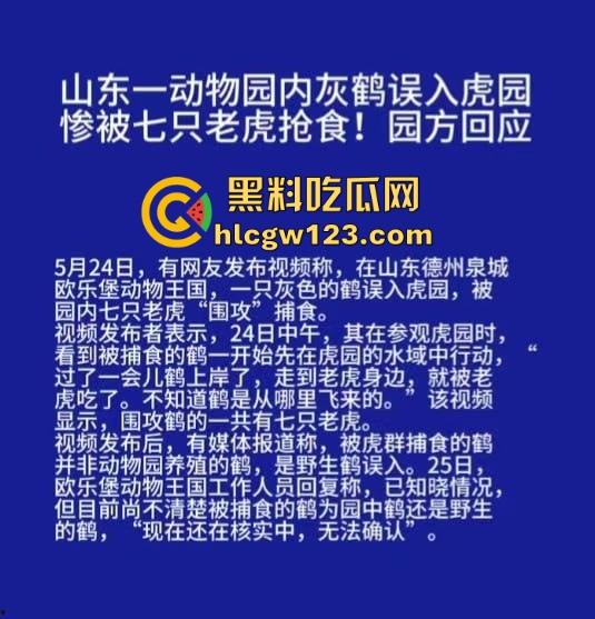 山东德州欧乐堡惊现一只大鹤误入虎区,七虎围成战术扇形现场1V7,最后成了热菜! 第1张 山东德州欧乐堡惊现一只大鹤误入虎区,七虎围成战术扇形现场1V7,最后成了热菜! 第1张