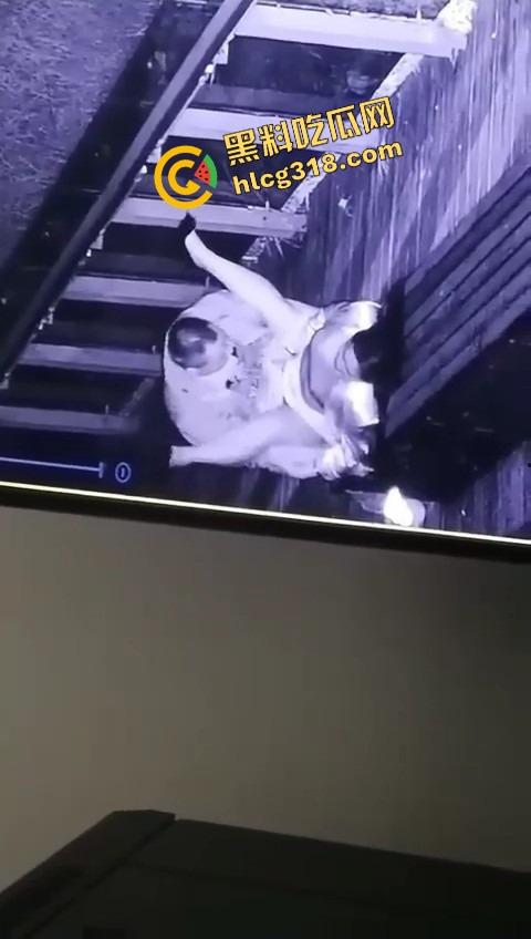 杭州公园长椅野战全程被监控拍下,两人全程激烈拉伸还换姿势,保安看回放笑抽了,上夜班果然有福利! 第6张 杭州公园长椅野战全程被监控拍下,两人全程激烈拉伸还换姿势,保安看回放笑抽了,上夜班果然有福利! 第6张