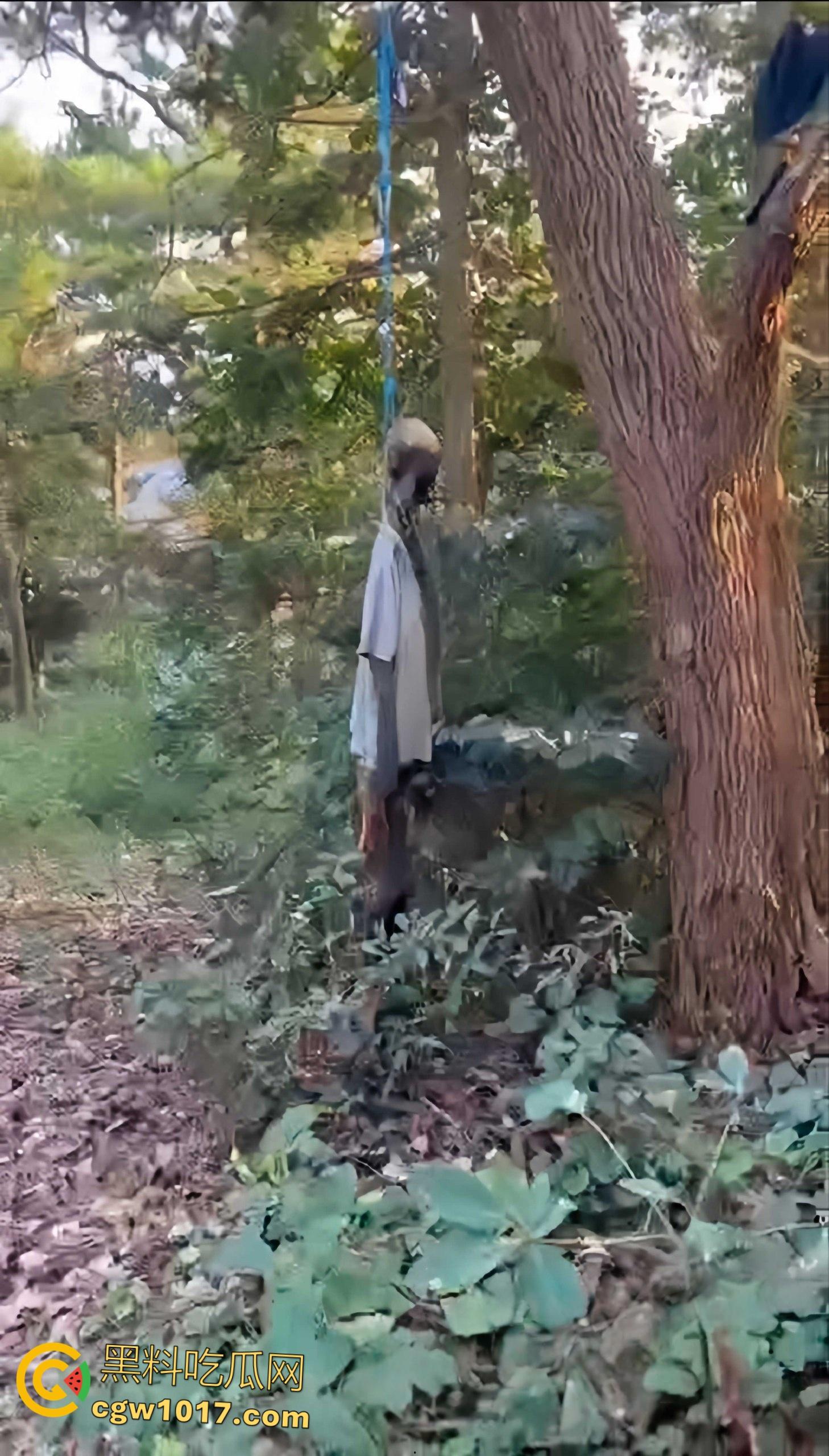 骑行摩托车的摩友意外发现，四明山深处惊现一具吊干尸，尸体已高度干瘪仅剩骨架，疑似死亡数月之久！  第6张
