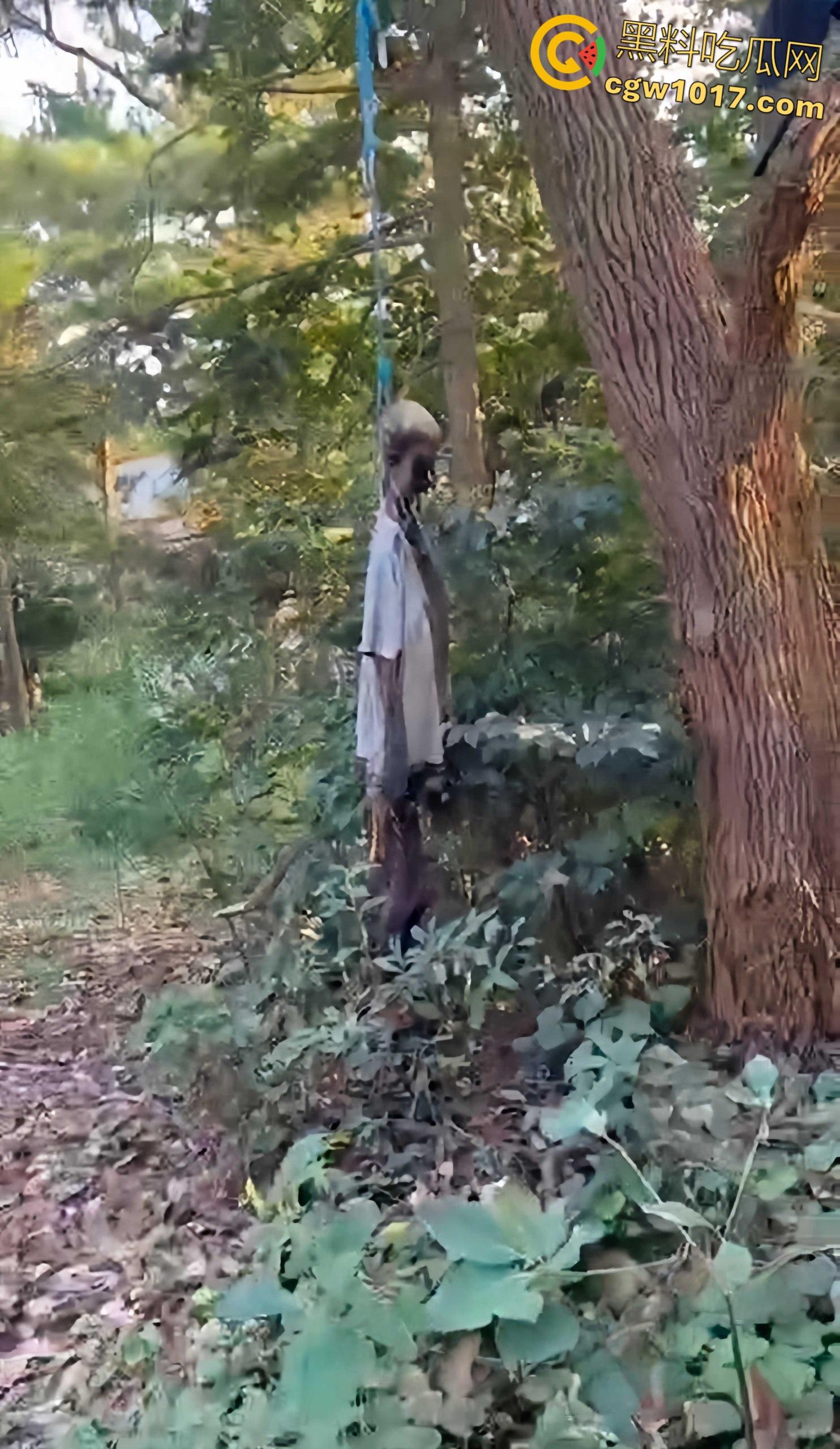 骑行摩托车的摩友意外发现，四明山深处惊现一具吊干尸，尸体已高度干瘪仅剩骨架，疑似死亡数月之久！  第7张