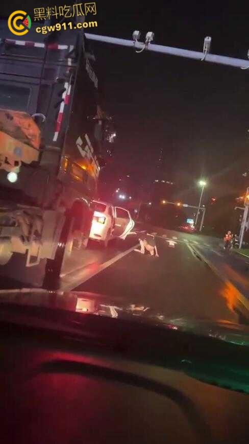 这是个有味道的视频，南沙红绿灯路口拉屎，这是憋不住了吗，还有美女下来送纸，这小翘臀还挺性感的！  第4张