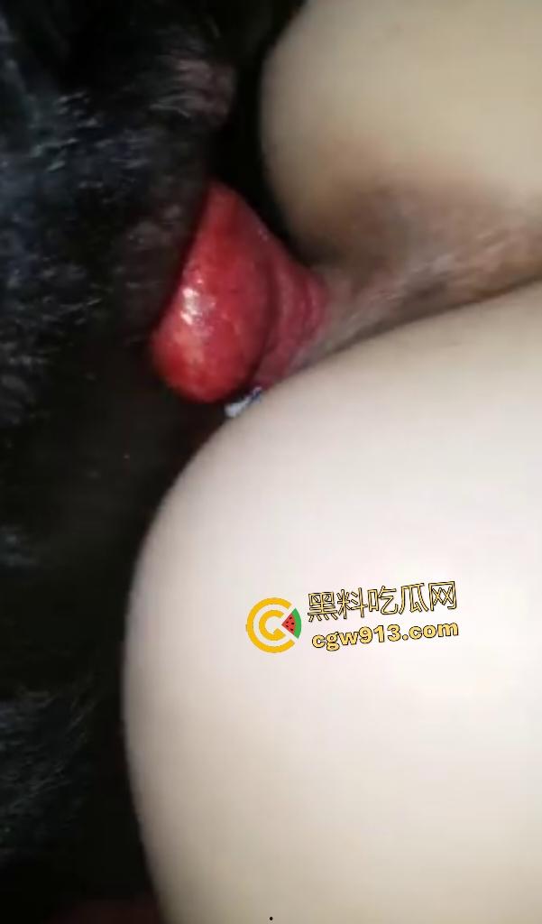 老外熟女趁丈夫不在家，与黑犬兽交！后入大屁股拔出喷精狂喷，狗鸡巴兽交姿势操逼，这是爱上主人了！  第5张