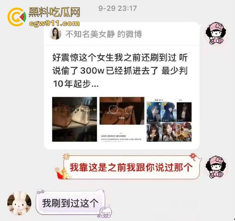 纯欲网红【小鱼丸子】变身怪盗基德！私下竟是偷包赌狗，600万奢侈品被调包，靠卖身还赌债，却还偷朋友东西变现！  第2张