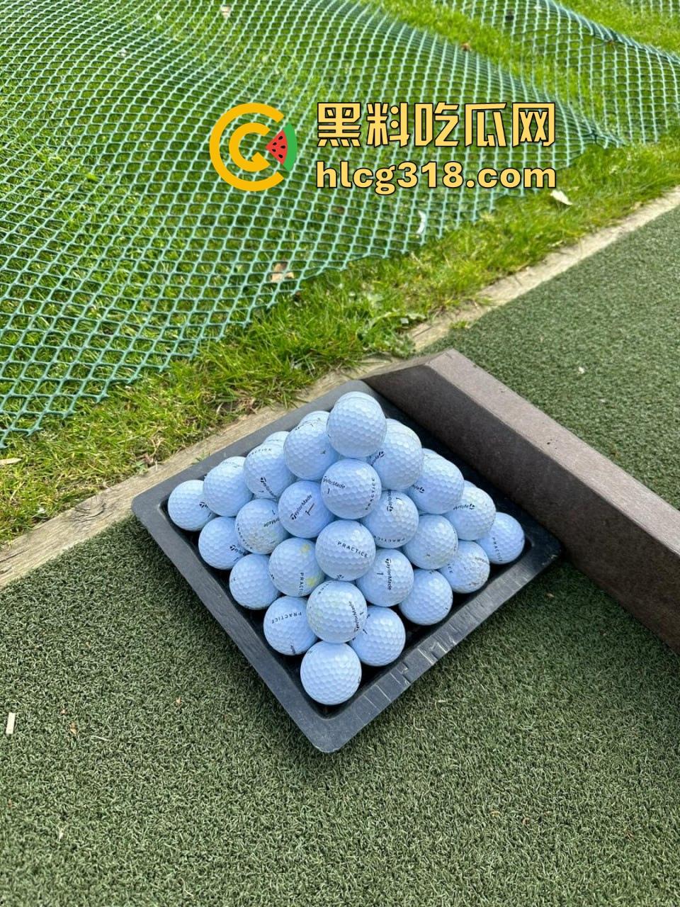 重金约炮极品高颜值高尔夫球友【李安安】美腿翘臀皮肤白嫩，爆操打桩淫水直流，早知道我也去学高尔夫了  第3张