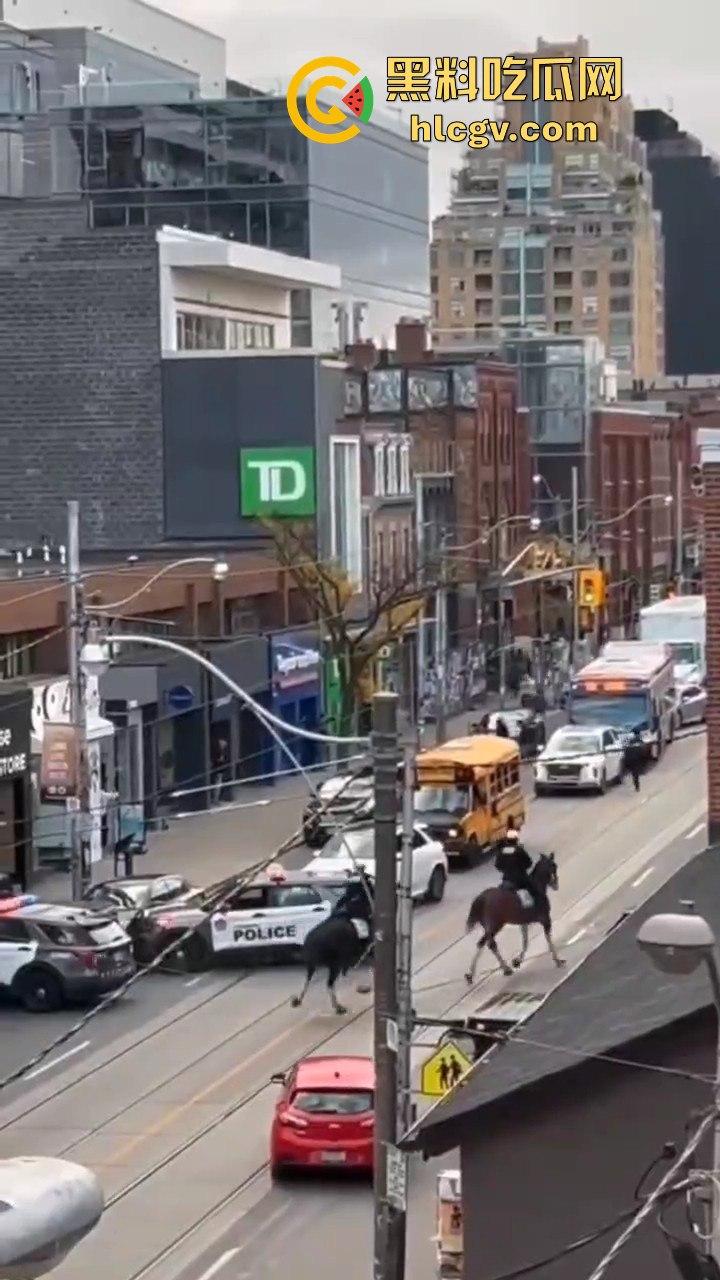 多伦多11月2日上演现实版警匪追逐！downtown街头劫车事件，比大片还带劲！  第10张