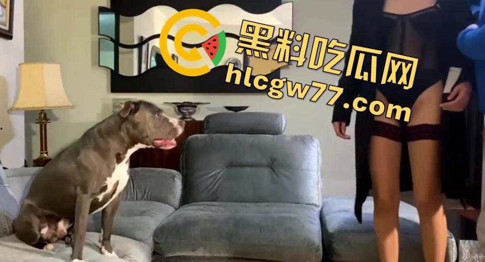 欧美人兽猎奇视频震撼曝光！妻子口完，老公让爱犬双棍填满妻子双洞太炸裂！  第1张
