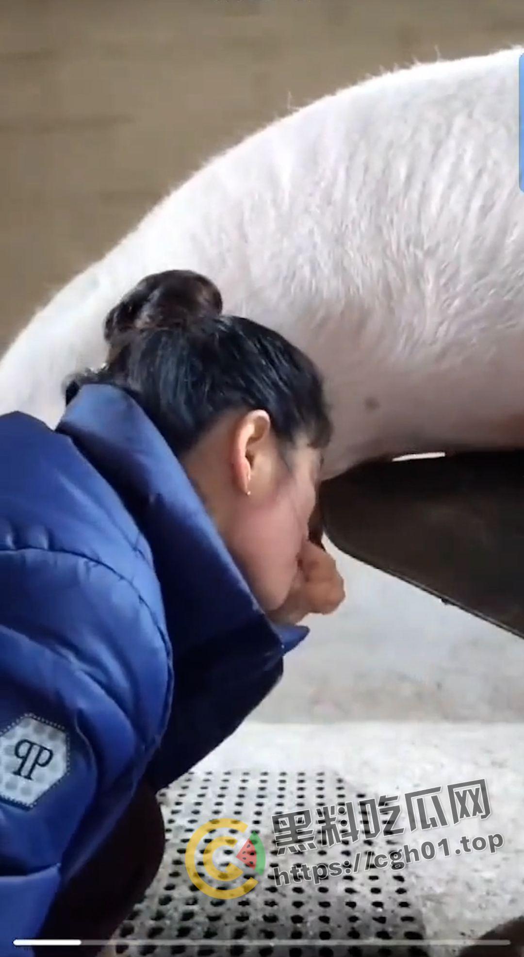 湖北养猪场变态女老板给猪口 手嘴并用被猪射满脸 八戒狂喜  第5张