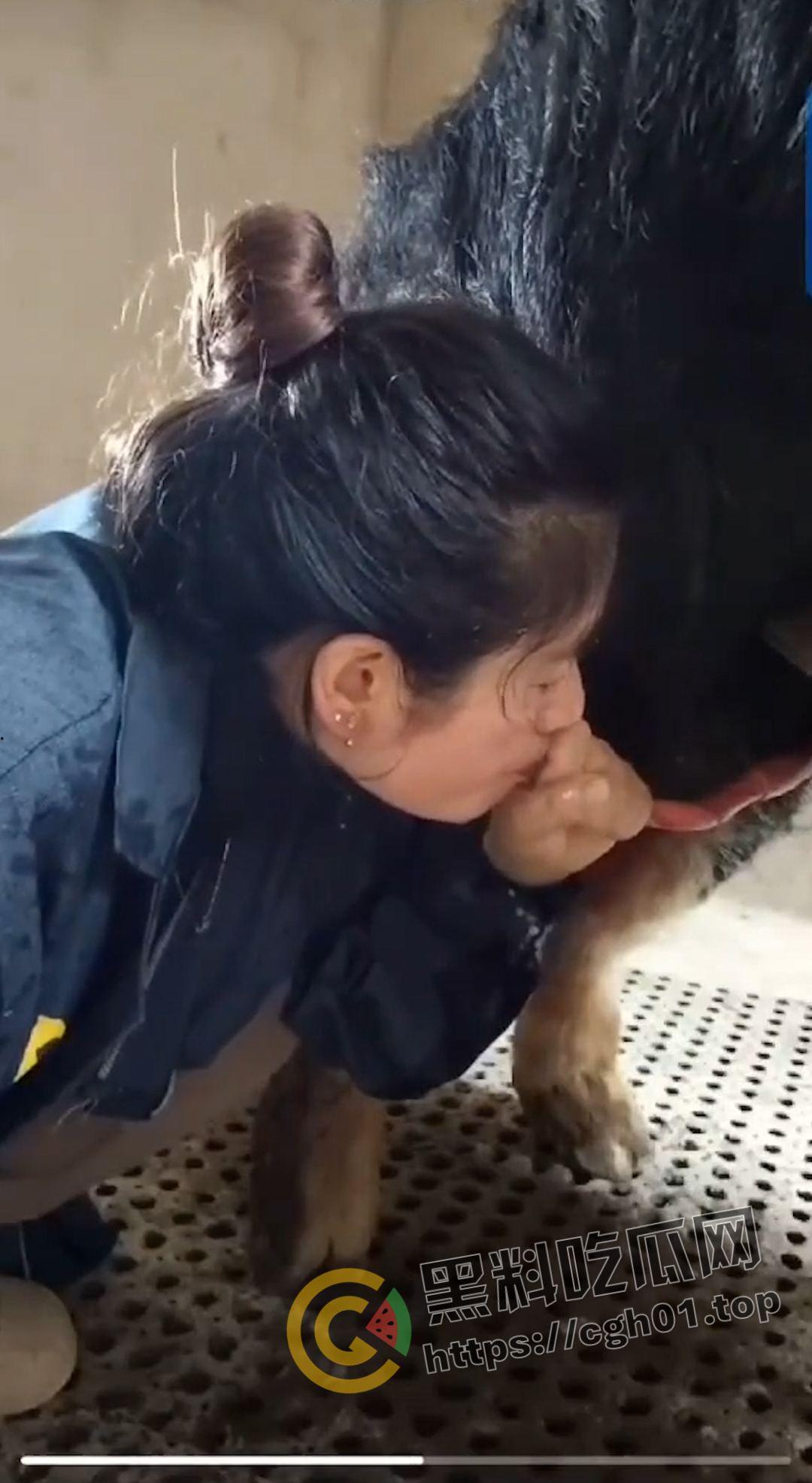 湖北养猪场变态女老板给猪口 手嘴并用被猪射满脸 八戒狂喜  第6张