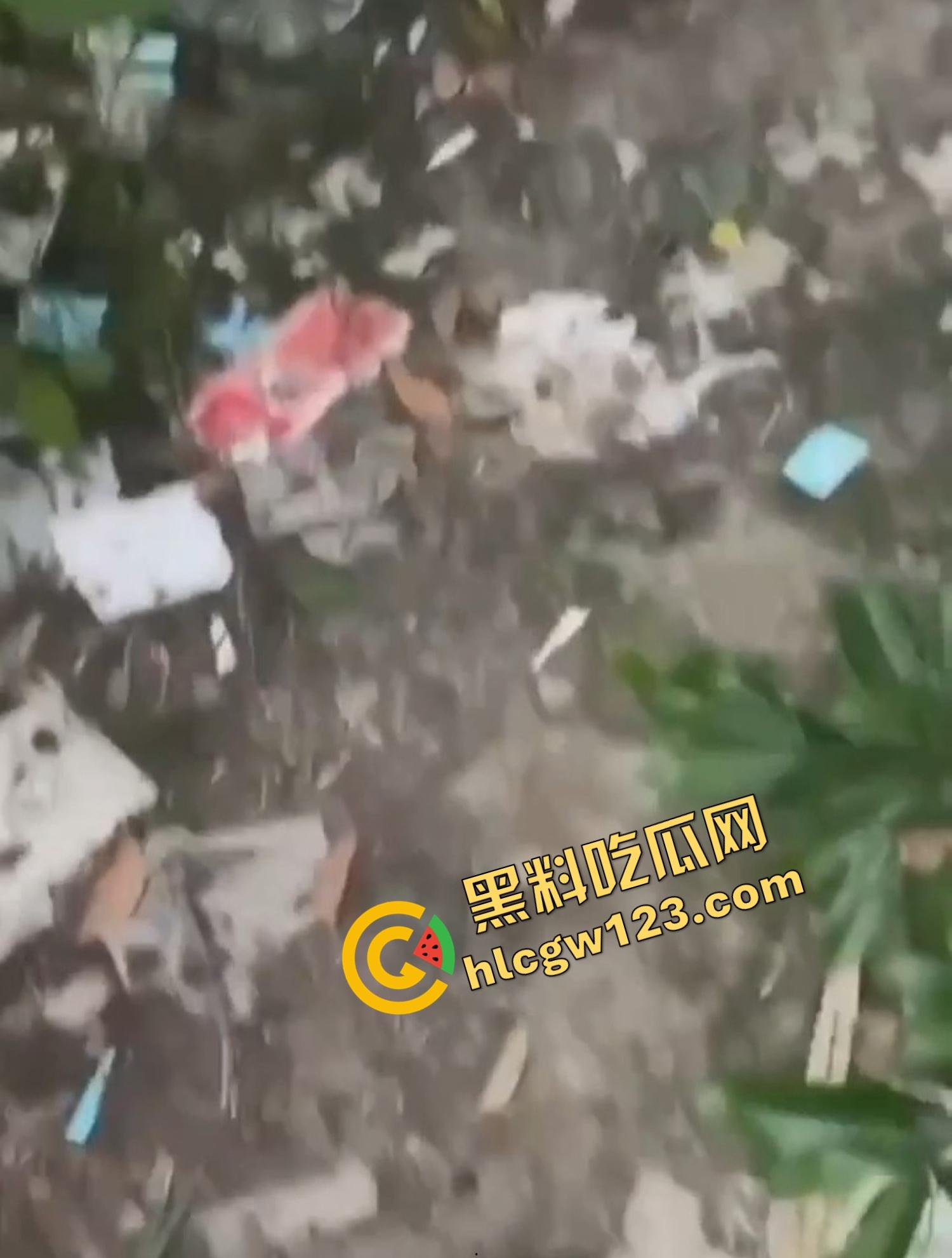 成都套套乐园，公园秒变野战广场，满地套套卫生纸，三步一个套五步一滩汁，精子浇灌绿化带！  第6张