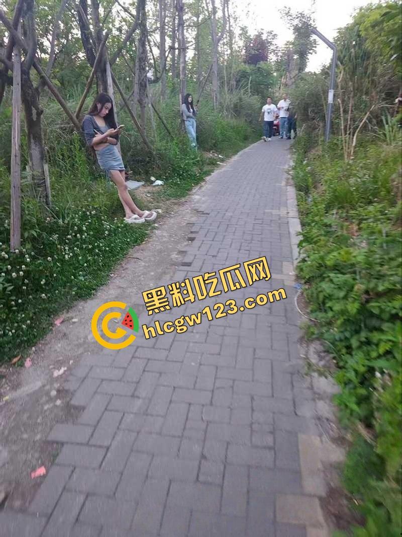 成都套套乐园，公园秒变野战广场，满地套套卫生纸，三步一个套五步一滩汁，精子浇灌绿化带！  第11张