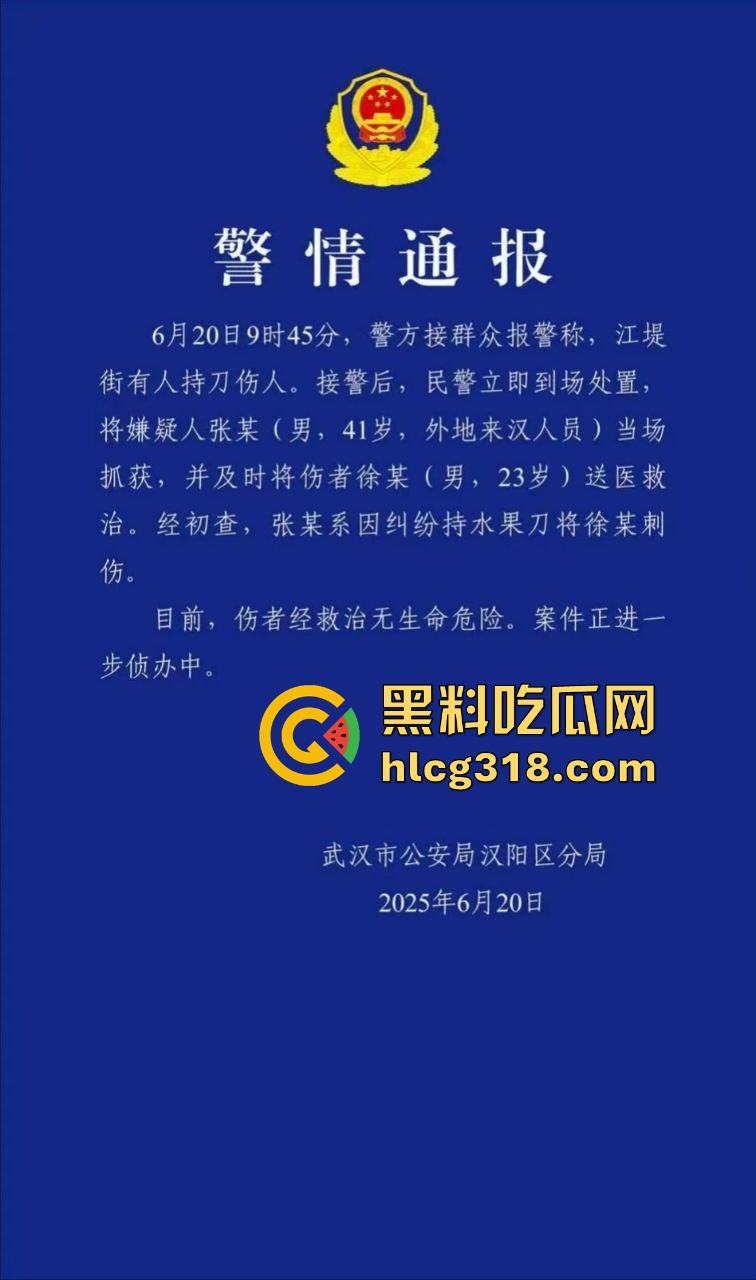 武汉江堤街持刀伤人，41岁嫌疑人张某持水果刀当着警察面捅杀被害人，也是够牛逼的！  第2张