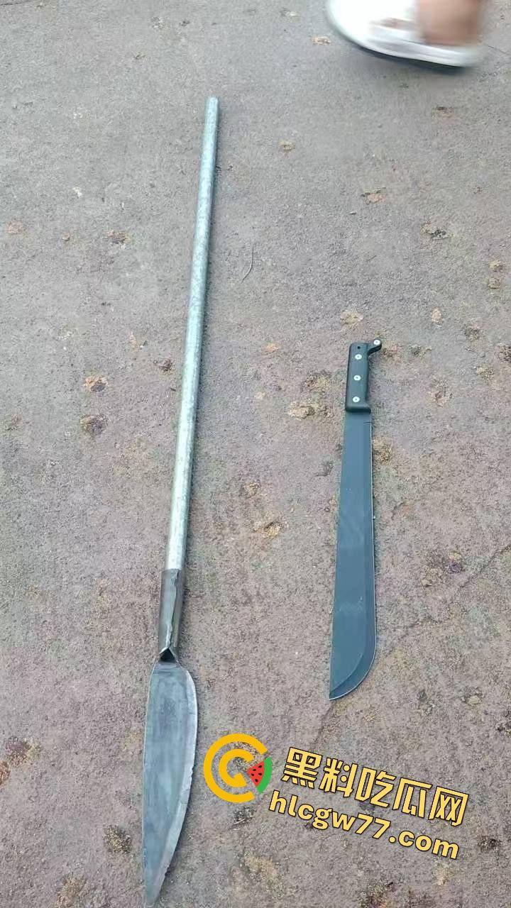 钦州实验学校门口血腥屠杀！无牌车女魔头撞死一堆学生，现实GTA5刀光剑影！  第5张