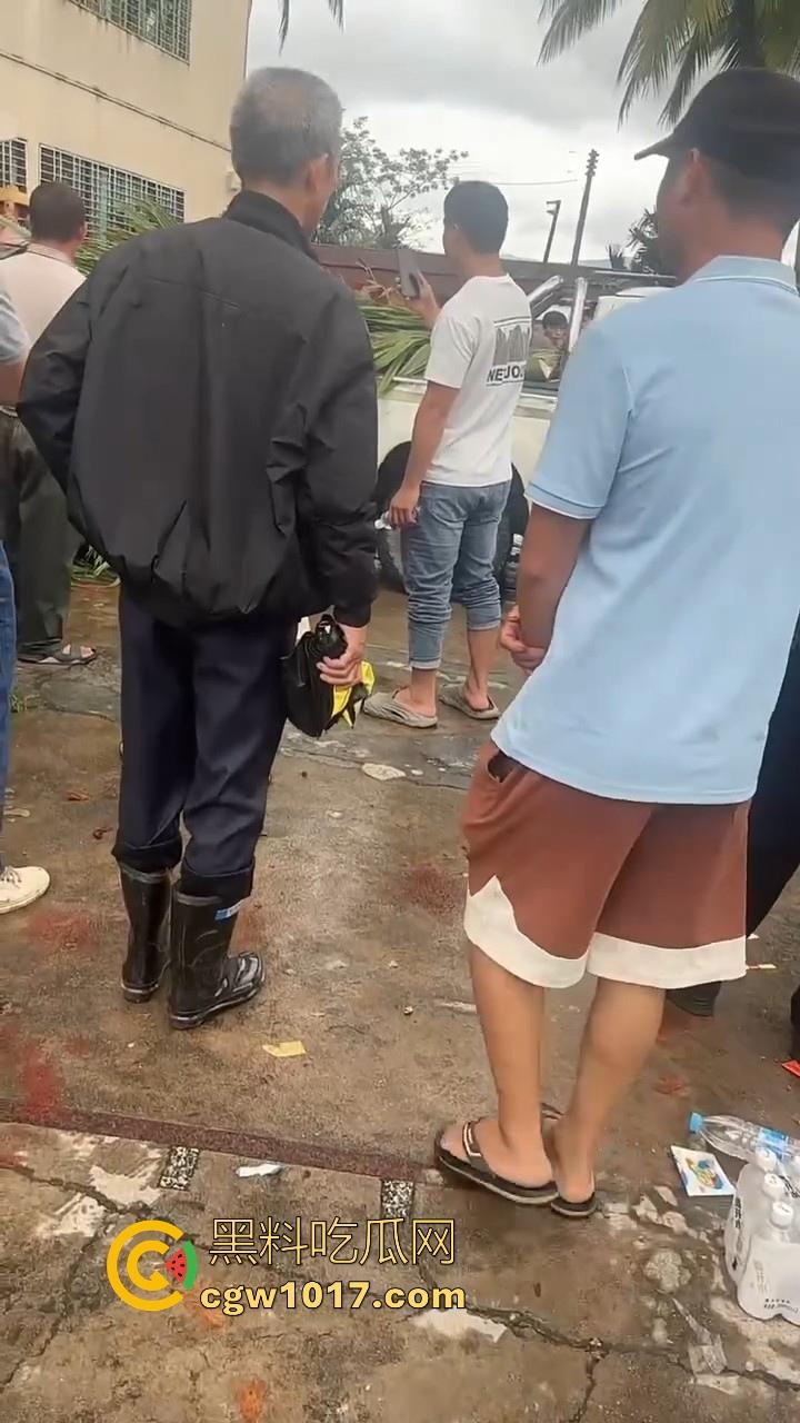 海南琼中爆发大规模群体抗争!因海南天然橡胶产业集团偷砍农民的槟榔田爆发,现场的农民们情绪机动! 第7张 海南琼中爆发大规模群体抗争!因海南天然橡胶产业集团偷砍农民的槟榔田爆发,现场的农民们情绪机动! 第7张