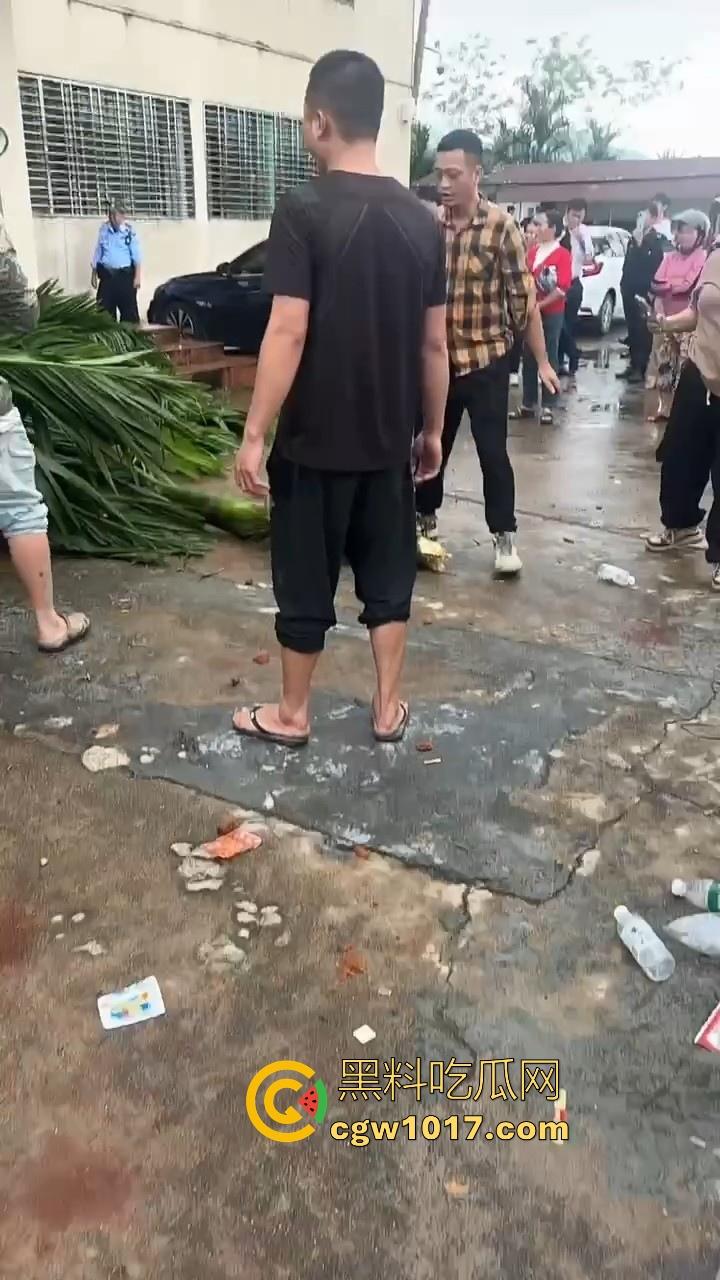 海南琼中爆发大规模群体抗争!因海南天然橡胶产业集团偷砍农民的槟榔田爆发,现场的农民们情绪机动! 第9张 海南琼中爆发大规模群体抗争!因海南天然橡胶产业集团偷砍农民的槟榔田爆发,现场的农民们情绪机动! 第9张