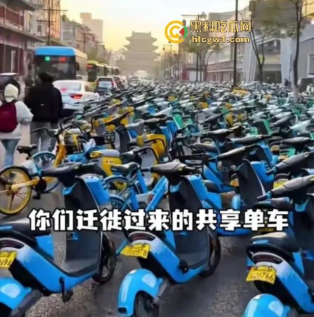 郑州大学生夜骑开封闹翻天!骑行大军占领多条路段,五小时攻陷50公里,交通瘫痪全网炸锅! 第13张 郑州大学生夜骑开封闹翻天!骑行大军占领多条路段,五小时攻陷50公里,交通瘫痪全网炸锅! 第13张