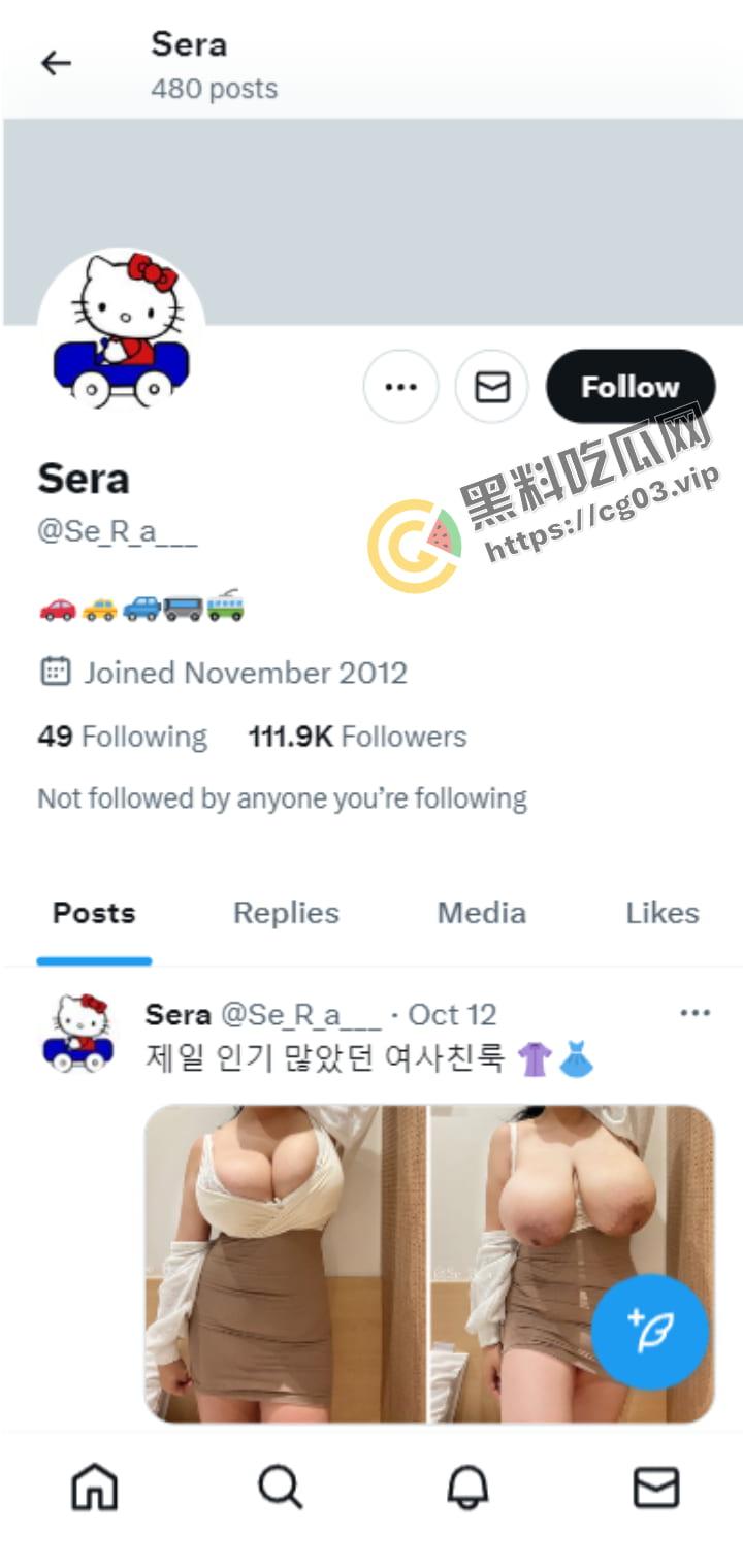 推特of【Sera】【hhh1231】韩国网黄 巨乳熟女 这车一般人真开不了 车灯比人头都大 鲍鱼超级肥 无套输出  第1张
