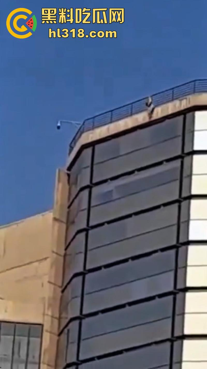 巴西男子跳楼现场，因所要医疗保险无果，直接跑到保险公司楼顶，几番犹豫后一跃而下！  第6张