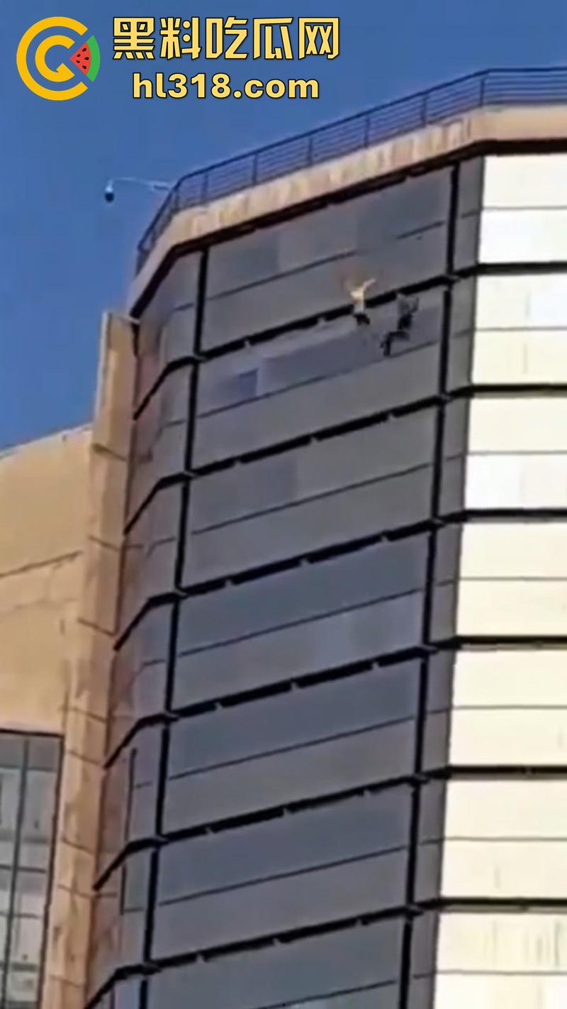 巴西男子跳楼现场，因所要医疗保险无果，直接跑到保险公司楼顶，几番犹豫后一跃而下！  第7张