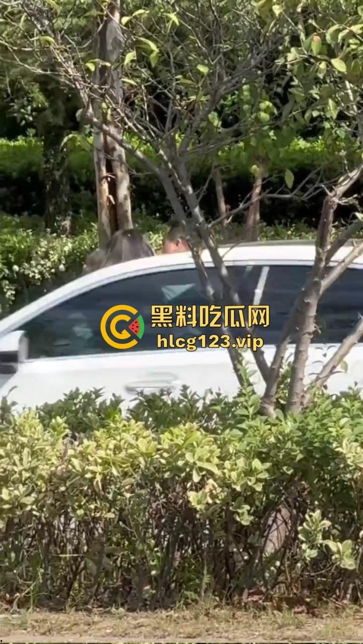 安徽芜湖长江南路惊现大尺度现场！为爱马仕鳄鱼皮，女的当街给口，鸡瘾犯了拼了命！  第2张